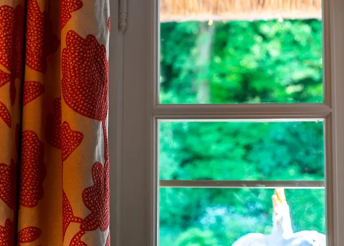 Гостевой дом New & De Nage